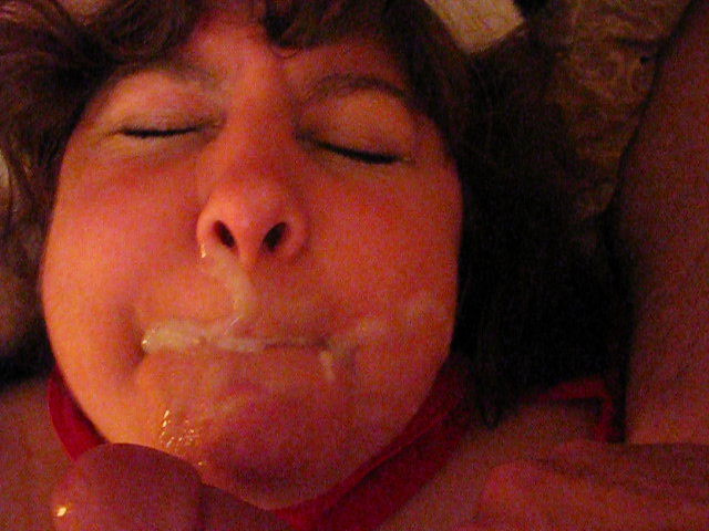 Exposed Fat Pig Susan Kirsch (2502/2596)